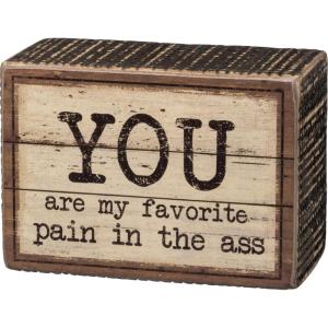 image:imagePrimitives by Kathy 33824 Rustic Box Sign NA 35 X 25 You are My Favorite Pain in the Ass white