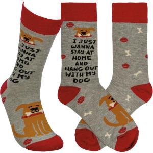 image:imagePrimitives by Kathy Novelty Socks  I Just Wanna Hang With My Dog Unisex One Size LOL Collection