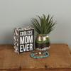 image:imagePrimitives by Kathy 21723 Box Sign 3 x 4 Call Your MomCoolest Mom