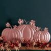 image:imagePrimitives by Kathy Blush Pumpkins Slat Sitter