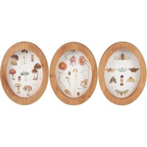 image:imagePrimitives by Kathy Fall Study Hanging Decor Set