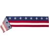 image:imagePrimitives by Kathy Red White and Blue American Flag Table Runner