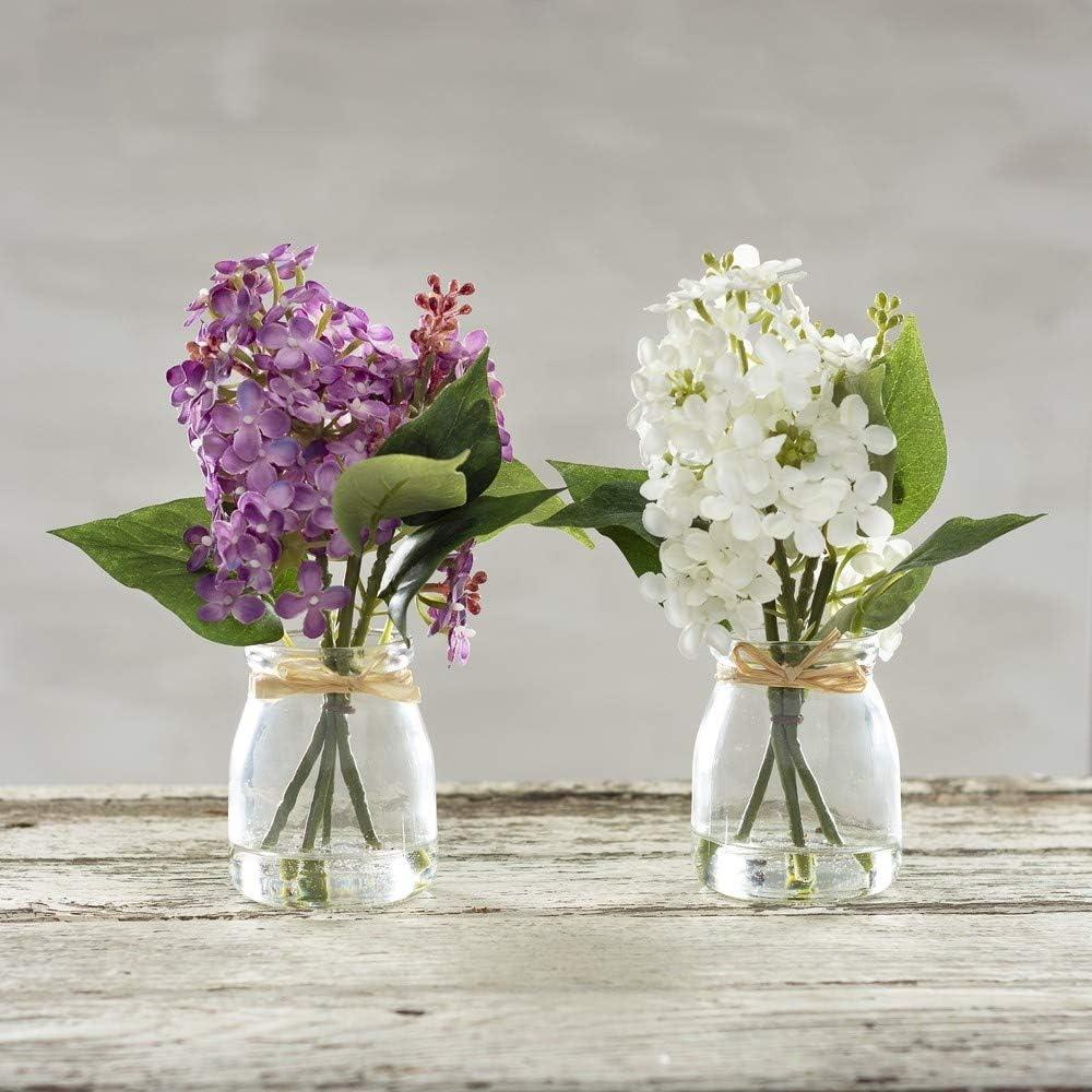 image:imagePrimitives by Kathy Home Dcor Purple Lilac Jar Complements with Coordinating Pieces in Collection for Charming Indoor Display Great for Kitchen Living Room Office or Bathroom Decor
