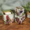 image:imagePrimitives by Kathy Floral Animal Hinged Box Set