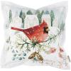 image:imagePrimitives by Kathy Winter Cardinal Pillow