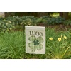 image:imagePrimitives by Kathy Lucky St Patricks Day Dcor Garden Flag