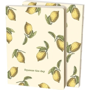 image:imagePrimitives By Kathy 110778 Squeeze the Day Journal 725inch Height