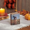 image:imagePrimitives by Kathy Home Dcor Block Sign  Cat As A Witch