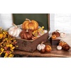 image:imagePrimitives by Kathy Pumpkin  Brown Velvet