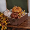 image:imagePrimitives by Kathy Pumpkin  Brown Velvet