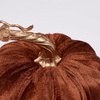 image:imagePrimitives by Kathy Pumpkin  Brown Velvet