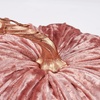image:imagePrimitives by Kathy Pumpkin  Blush Velvet