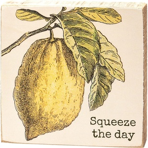 image:imagePrimitives by Kathy Squeeze The Day Home Dcor Sign