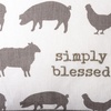 image:imagePrimitives by Kathy Decorative PillowSimply Blessed Decorative Throw Pillow White Grey