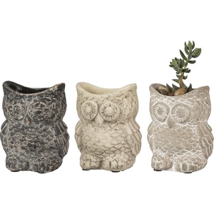 image:imagePrimitives by Kathy Set of Three Cement Owl Planter Set