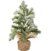 image:imagePrimitives by Kathy Snow Covered Tree Sm 6 Diameter x 12 Multicolor