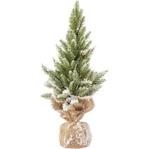 image:imagePrimitives by Kathy  Snow 18 Tree