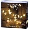 image:imagePrimitives by Kathy Submergible MicroWire String Lights with Timer 105Inches 50LightsClear Stars