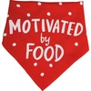 image:imagePrimitives by Kathy Cuddle Buddy Motivated By Love Large Pet Bandana