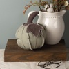 image:imagePrimitives by Kathy Fabric Pumpkin Decoration Small GreenGreen