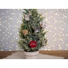 image:imagePrimitives by Kathy Mini Ornament Set  Christmas Animals