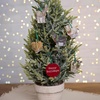 image:imagePrimitives by Kathy Mini Ornament Set  Christmas Animals