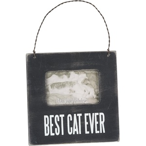 image:imagePrimitives by Kathy Mini Box Frame Best cat