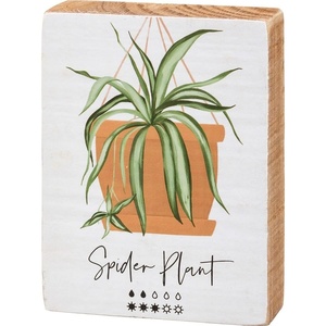 image:imagePrimitives by Kathy Spider Plant Home Dcor Sign