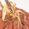 image:imagePrimitives by Kathy Autumn Wool Pumpkin Set 118589