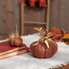 image:imagePrimitives by Kathy Autumn Wool Pumpkin Set 118589