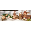 image:imagePrimitives by Kathy Bunny Seeds Ornament