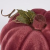 image:imagePrimitives by Kathy Flocked Burgundy Pumpkin