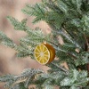 image:imagePrimitives by Kathy Lemon Glass Ornament