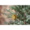 image:imagePrimitives by Kathy Lemon Glass Ornament