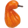 image:imagePrimitives by Kathy Orange Mix Decorative Pumpkin Sitter Set Perfect Decorations For Fall And Halloween