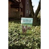 image:imagePrimitives by Kathy Pig Pen Garden Flag