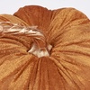 image:imagePrimitives by Kathy Pumpkin  Orange Velvet