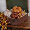 image:imagePrimitives by Kathy Pumpkin  Orange Velvet