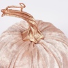 image:imagePrimitives by Kathy Pumpkin Set  Blush Velvet