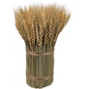 image:imagePrimitives by Kathy Wheat Bundle Decorative BouquetWheat