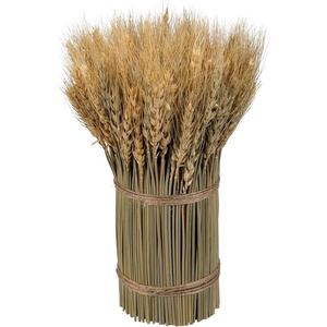 image:imagePrimitives by Kathy Small Wheat Bundle Decorative BouquetWheat