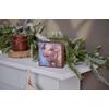 image:imagePrimitives by Kathy Festive Pig Block Sign