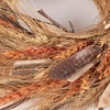 image:imagePrimitives by Kathy Rustic Nature Wreath