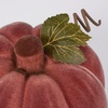 image:imagePrimitives by Kathy Flocked Brown Pumpkin