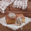image:imagePrimitives by Kathy Mercury Glass Pumpkin