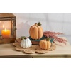 image:imagePrimitives by Kathy Pumpkin Sm  Orange Flocked