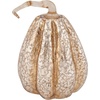 image:imagePrimitives by Kathy Tall Mercury Glass Pumpkin