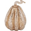 image:imagePrimitives by Kathy Tall Mercury Glass Pumpkin