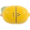 image:imagePrimitives by Kathy Salt amp Pepper Set  LemonLemon