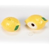 image:imagePrimitives by Kathy Salt amp Pepper Set  LemonLemons